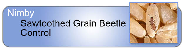 Sawtooth Grain_Beetle_Control_Header