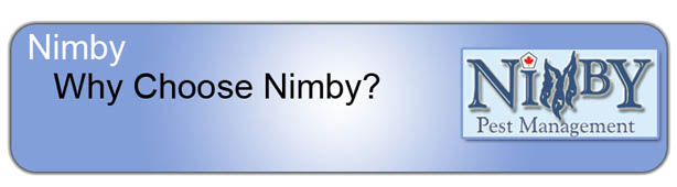 Why Choose_Nimby_Header