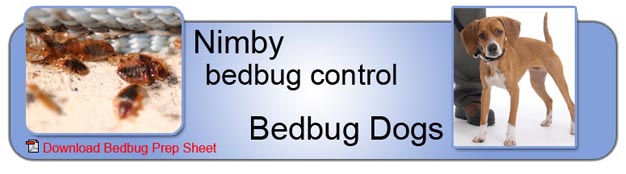 Bedbug-Dogs