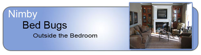 bed-bugs-outside-the-bedroom-header