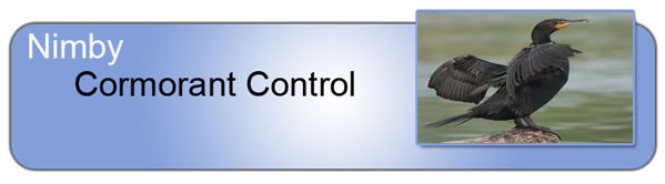 cormorant-control